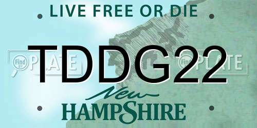 TDDG22 New Hampshire License Plate