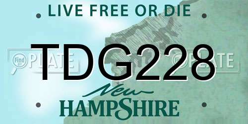 TDG228 New Hampshire License Plate