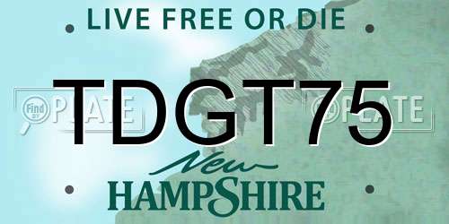 TDGT75 New Hampshire License Plate
