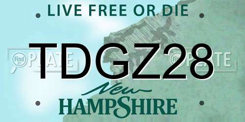 TDGZ28 New Hampshire License Plate