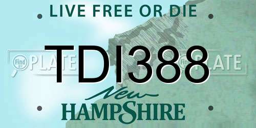 TDI388 New Hampshire License Plate