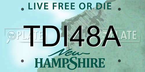 TDI48A New Hampshire License Plate
