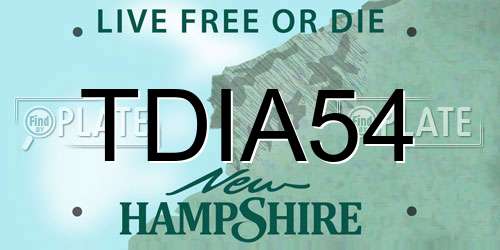 TDIA54 New Hampshire License Plate