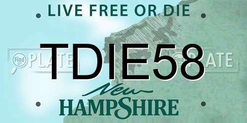 TDIE58 New Hampshire License Plate