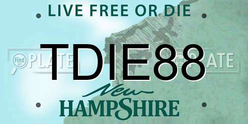 TDIE88 New Hampshire License Plate