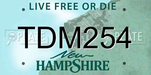 TDM254 New Hampshire License Plate