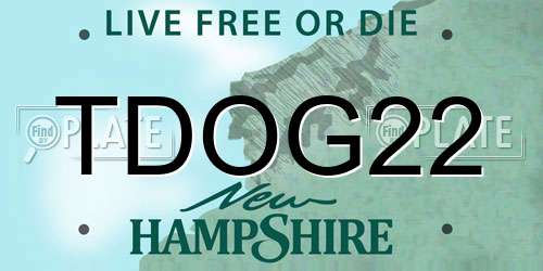 TDOG22 New Hampshire License Plate