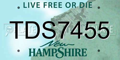 TDS7455 New Hampshire License Plate