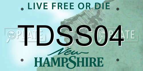 TDSS04 New Hampshire License Plate