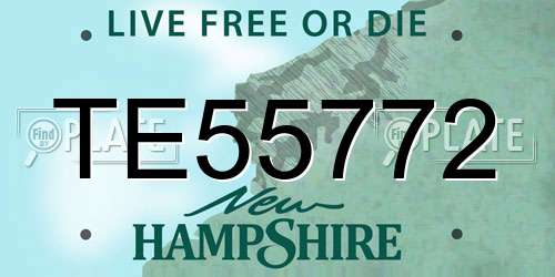 TE55772 New Hampshire License Plate