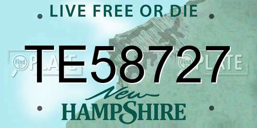 TE58727 New Hampshire License Plate