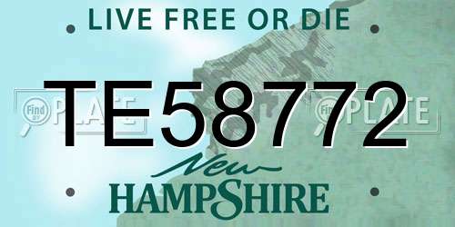 TE58772 New Hampshire License Plate