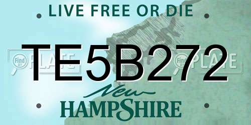 TE5B272 New Hampshire License Plate
