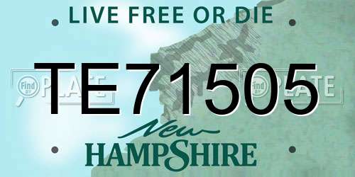 TE71505 New Hampshire License Plate