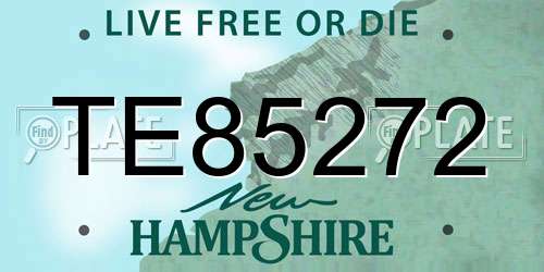 TE85272 New Hampshire License Plate