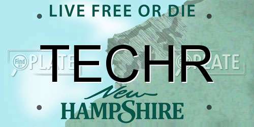 TECHR New Hampshire License Plate
