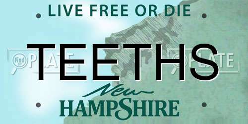 TEETHS New Hampshire License Plate