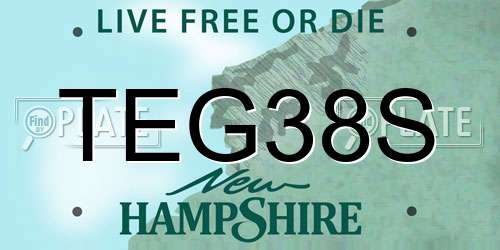TEG38S New Hampshire License Plate