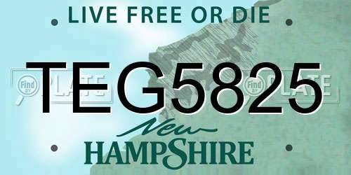 TEG5825 New Hampshire License Plate