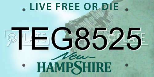 TEG8525 New Hampshire License Plate