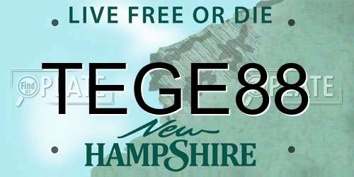TEGE88 New Hampshire License Plate