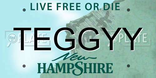 TEGGYY New Hampshire License Plate