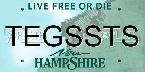 TEGSSTS New Hampshire License Plate