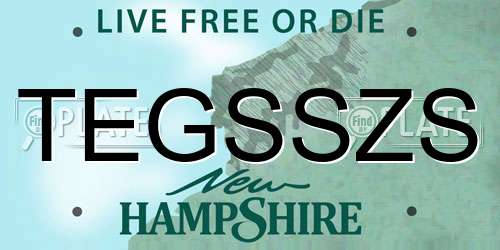 TEGSSZS New Hampshire License Plate