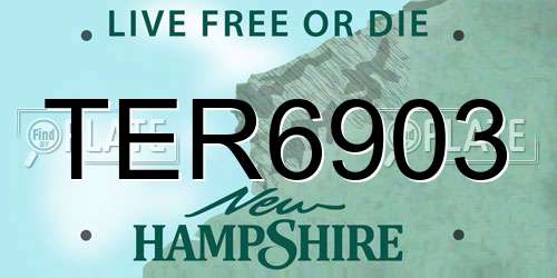 TER6903 New Hampshire License Plate