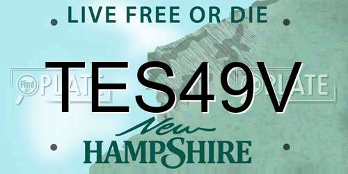 TES49V New Hampshire License Plate