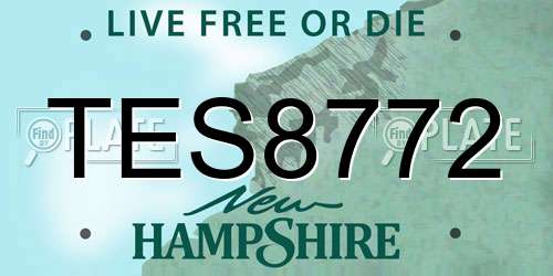 TES8772 New Hampshire License Plate
