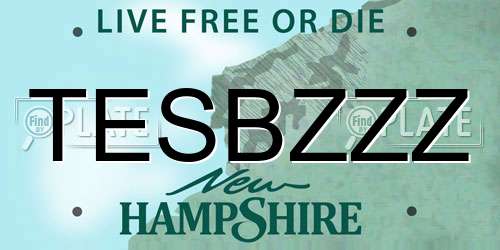 TESBZZZ New Hampshire License Plate
