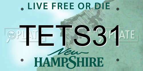 TETS31 New Hampshire License Plate