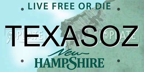 TEXASOZ New Hampshire License Plate