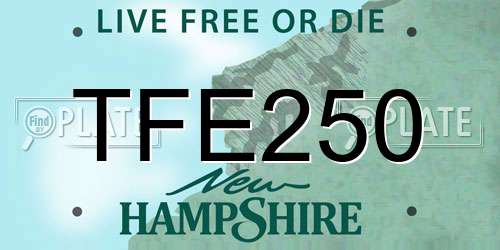 TFE250 New Hampshire License Plate