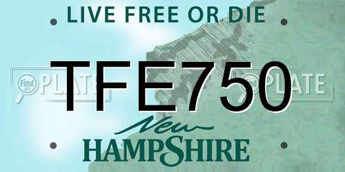 TFE750 New Hampshire License Plate