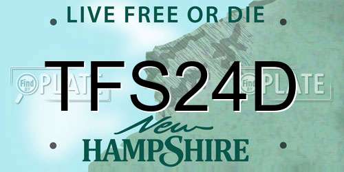 TFS24D New Hampshire License Plate