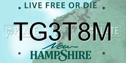 TG3T8M New Hampshire License Plate