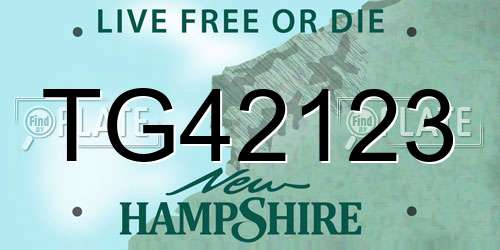 TG42123 New Hampshire License Plate