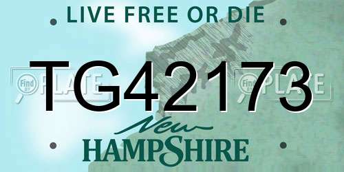 TG42173 New Hampshire License Plate