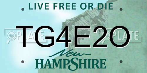 TG4E2O New Hampshire License Plate