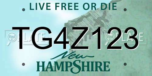 TG4Z123 New Hampshire License Plate