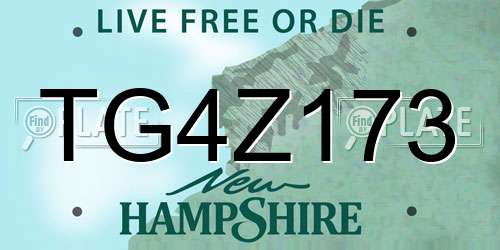 TG4Z173 New Hampshire License Plate