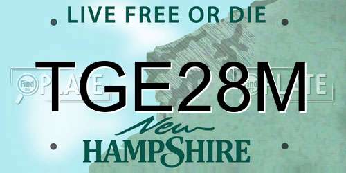 TGE28M New Hampshire License Plate