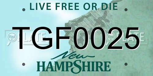 TGF0025 New Hampshire License Plate