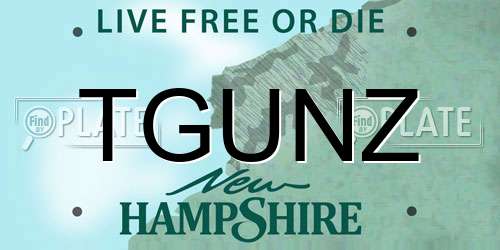 TGUNZ New Hampshire License Plate