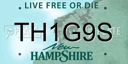 TH1G9S New Hampshire License Plate