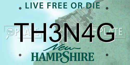 TH3N4G New Hampshire License Plate
