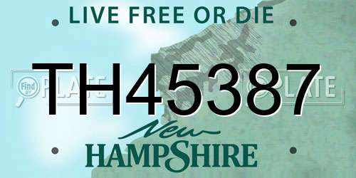 TH45387 New Hampshire License Plate
