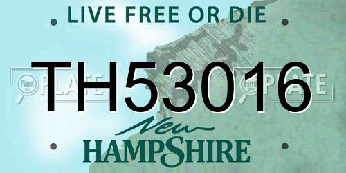 TH53016 New Hampshire License Plate